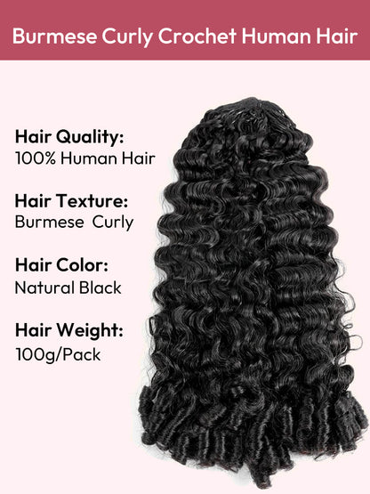 Chic Luxe Hair Crochet Human Hair Burmese Curly Extensions Pre-Separated Hair | Natural Black| 100% Human Hair |100 strands per pack (100g) | Usually 2-3 Packs For A Full Head
